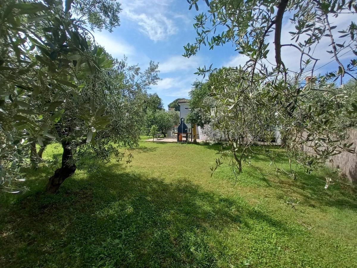 Holiday House Chill Out Loborika Marčana Zewnętrze zdjęcie