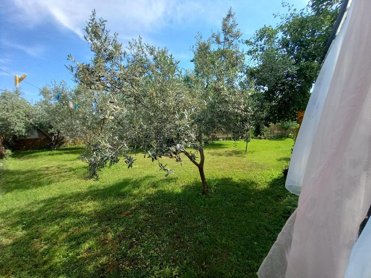 Holiday House Chill Out Loborika Marčana Zewnętrze zdjęcie